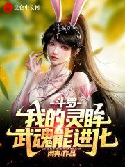 我的武魂是灵眸