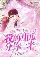 我的密瓜分你一半是谁