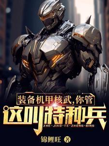 装甲核心机设是谁