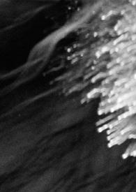 夜寒苏的作用与功效