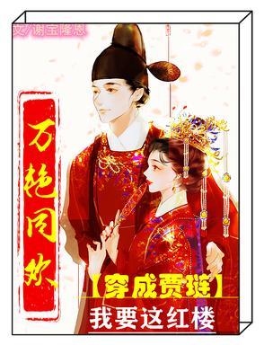 穿越红楼做贾琏的