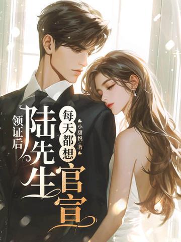 陆先生结婚后天天缠着我