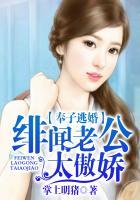 奉子成婚绯闻老公傲娇