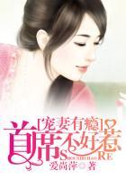 宠妻有瘾:首席不好惹