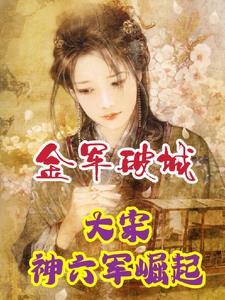 穿宋,造反!【变宋】