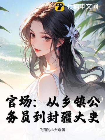 官场:从乡镇公务员到封疆大吏