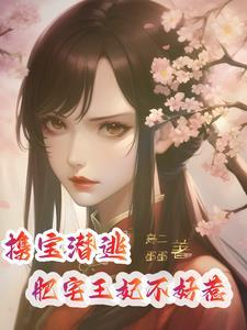 携宝潜逃:肥宅王妃不好惹