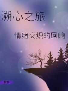 溯心之旅:情绪交织的回响