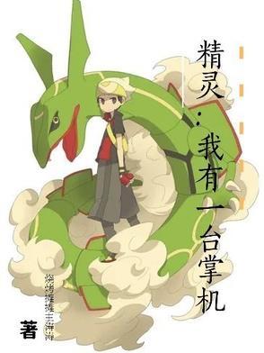 精灵:我有一台掌机