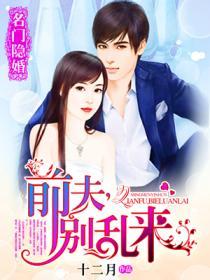 名门隐婚:前夫,别乱